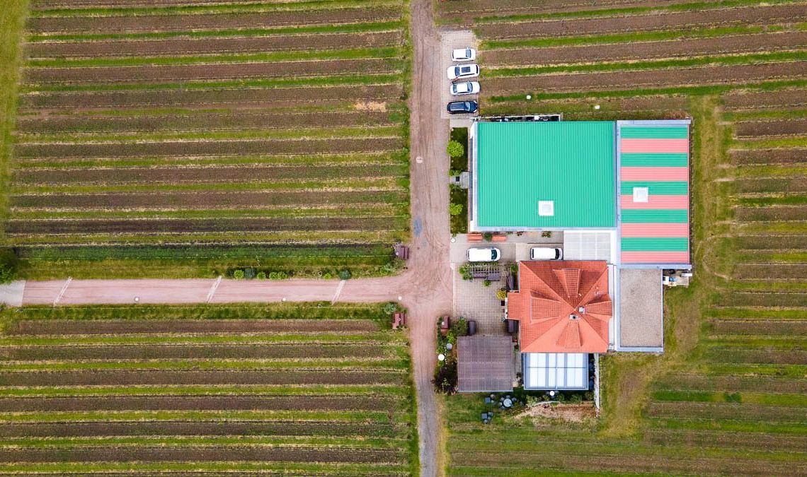 Impressionen vom Weingut Matyas in Coswig/ Sachsen