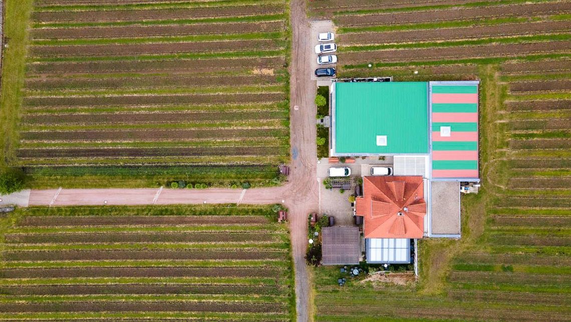 Impressionen vom Weingut Matyas in Coswig/ Sachsen