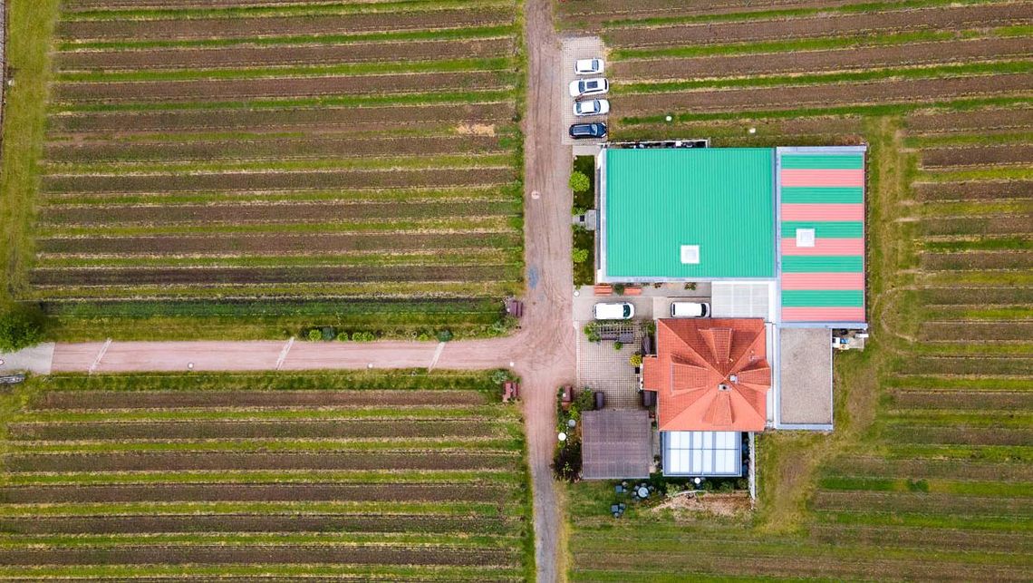 Impressionen vom Weingut Matyas in Coswig/ Sachsen