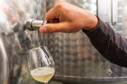 Impressionen vom Weingut Matyas in Coswig/ Sachsen
