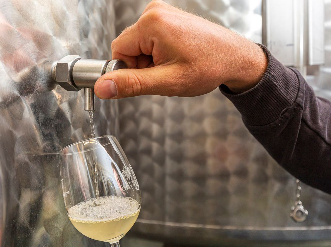 Impressionen vom Weingut Matyas in Coswig/ Sachsen
