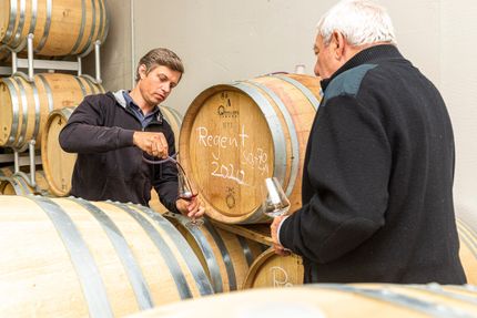 Impressionen vom Weingut Matyas in Coswig/ Sachsen