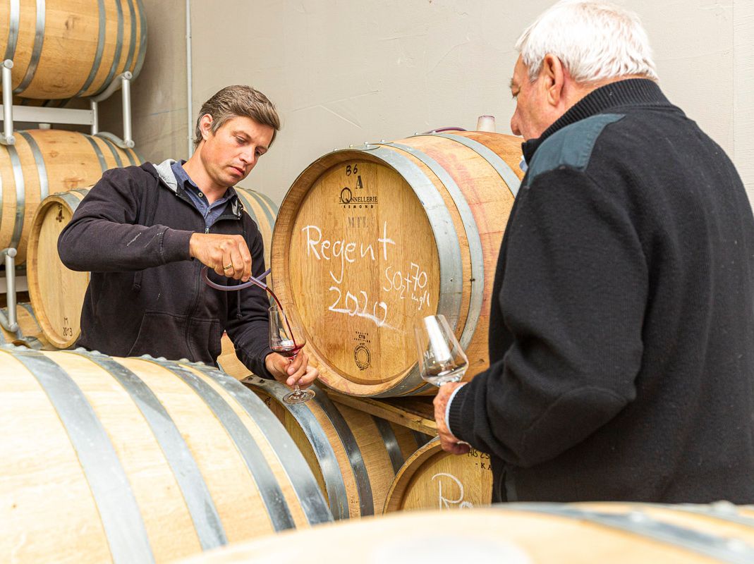 Impressionen vom Weingut Matyas in Coswig/ Sachsen