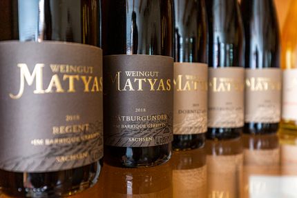 Impressionen vom Weingut Matyas in Coswig/ Sachsen