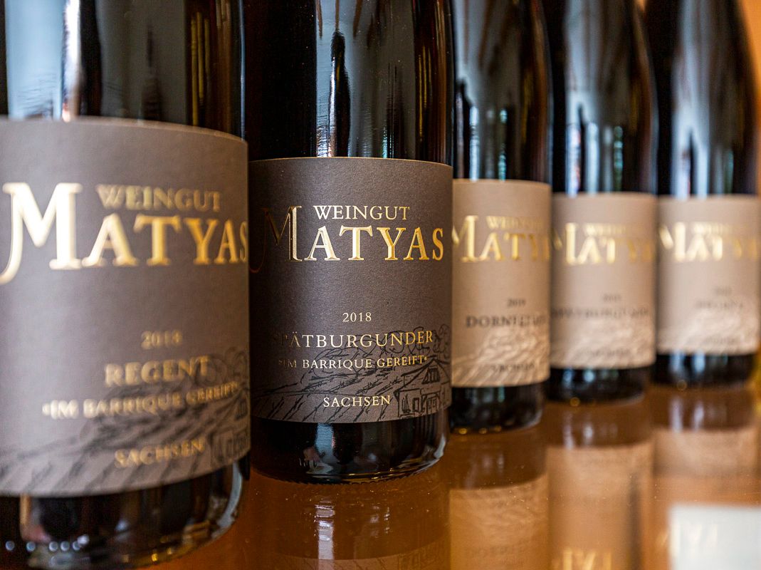 Impressionen vom Weingut Matyas in Coswig/ Sachsen