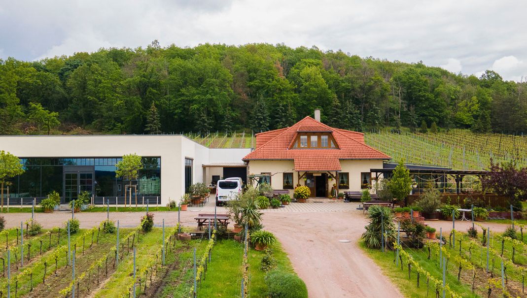 Impressionen vom Weingut Matyas in Coswig/ Sachsen