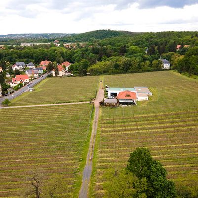 Impressionen vom Weingut Matyas in Coswig/ Sachsen