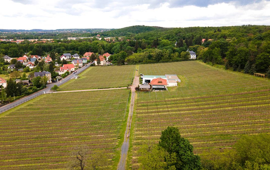 Impressionen vom Weingut Matyas in Coswig/ Sachsen