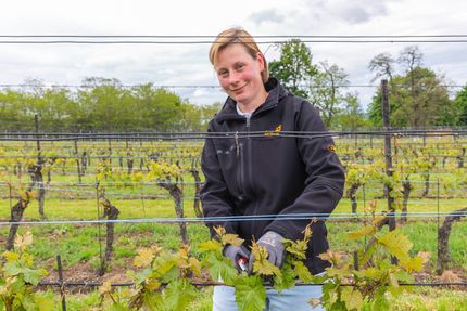 Impressionen vom Weingut Matyas in Coswig/ Sachsen