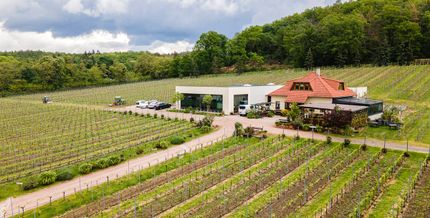 Impressionen vom Weingut Matyas in Coswig/ Sachsen