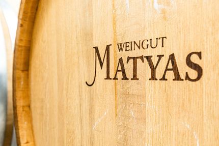 Impressionen vom Weingut Matyas in Coswig/ Sachsen