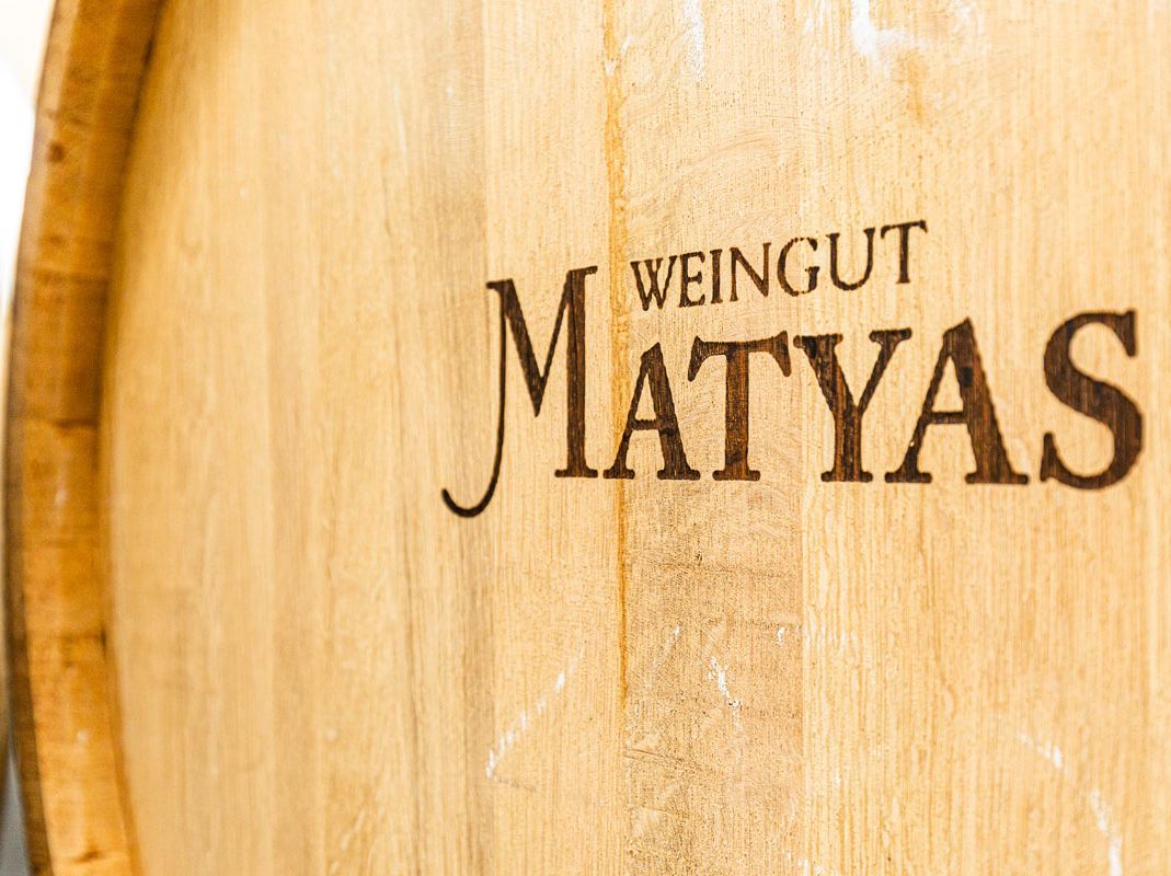 Impressionen vom Weingut Matyas in Coswig/ Sachsen